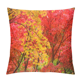 Personality  View To Momiji  In Autumn Season Pillow Covers