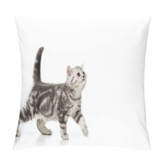 Personality  Kitten Pillow Covers