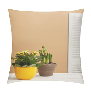 Personality  Yellow Flowers And Hyacinth In Flowerpots With Copy Space Pillow Covers