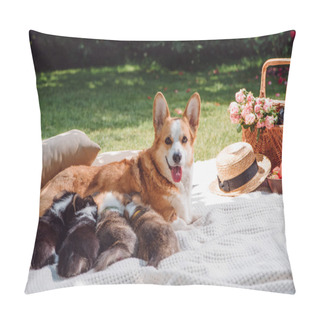Personality  Cute Welsh Corgi Dog Feeding Puppies On White Blanket In Green Garden Pillow Covers