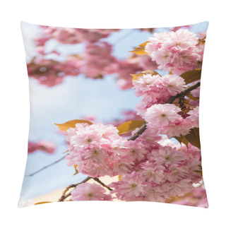 Personality  Close Up Of Blossoming Pink Flowers On Branches Of Cherry Tree Pillow Covers