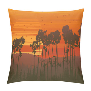 Personality  Wild Coniferous Wood At Sunset. Pillow Covers