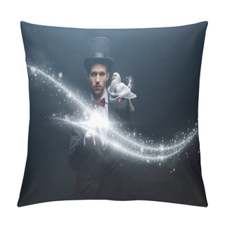 Personality  Dove Sitting On Shoulder Of Young Magician In Hat With Wand In Dark Room With Smoke And Glowing Illustration Pillow Covers