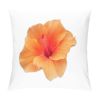 Personality  Closeup Of Orange Hibiscus Flower Blooming Isolated On White Background.stock Photo.spring Summer Flower Pillow Covers