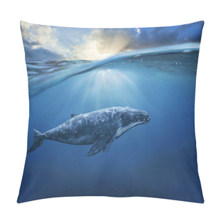 Personality  Big Grey Whale In Ocean Pillow Covers