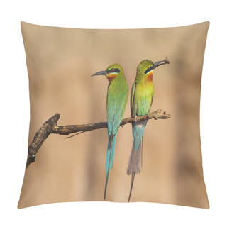 Personality  Blue Tailed Bee Eater Pillow Covers