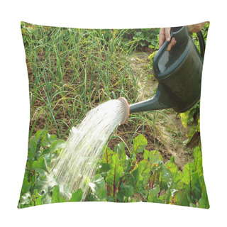 Personality  Watering Pillow Covers
