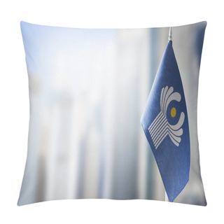 Personality  Patch Of The National Flag Of The CIS On A White T-shirt Pillow Covers