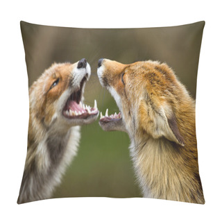 Personality  Red Foxes Fighting Pillow Covers