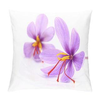 Personality  Close Up Of Saffron Flowers  Pillow Covers