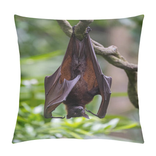 Personality  Cute Bat Hanging Upside Down On A Branch (Singapore) Pillow Covers