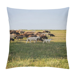 Personality  Herd Of Sheep And Goats Grazing In Green Meadow Under Clear Sky Pillow Covers