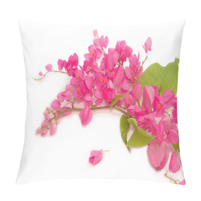 Personality  Coral Vine or Antigonon leptopus Hook flower (chain of love) pillow covers