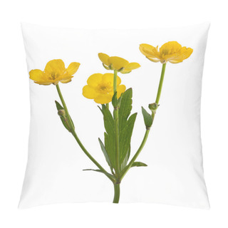 Personality  Four Yellow Buttercup Flowers Pillow Covers