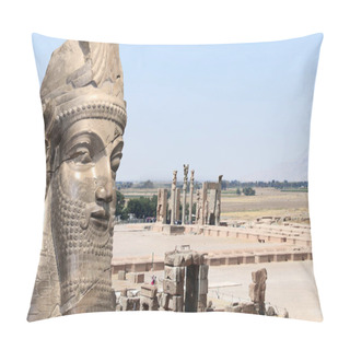 Personality  Top View Of Persepolis. Aerial View On Archeological Site, Gate Of All Nations (Xerxes Gate) With Stone Statues Of Assyrian Protective Deity Lamassu, Persepolis, Iran. UNESCO World Heritage Site Pillow Covers