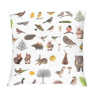 Personality  Animals And Birds Pillow Covers