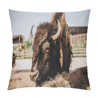 Personality  Close Up View Of Bison Grazing In Corral At Zoo  Pillow Covers