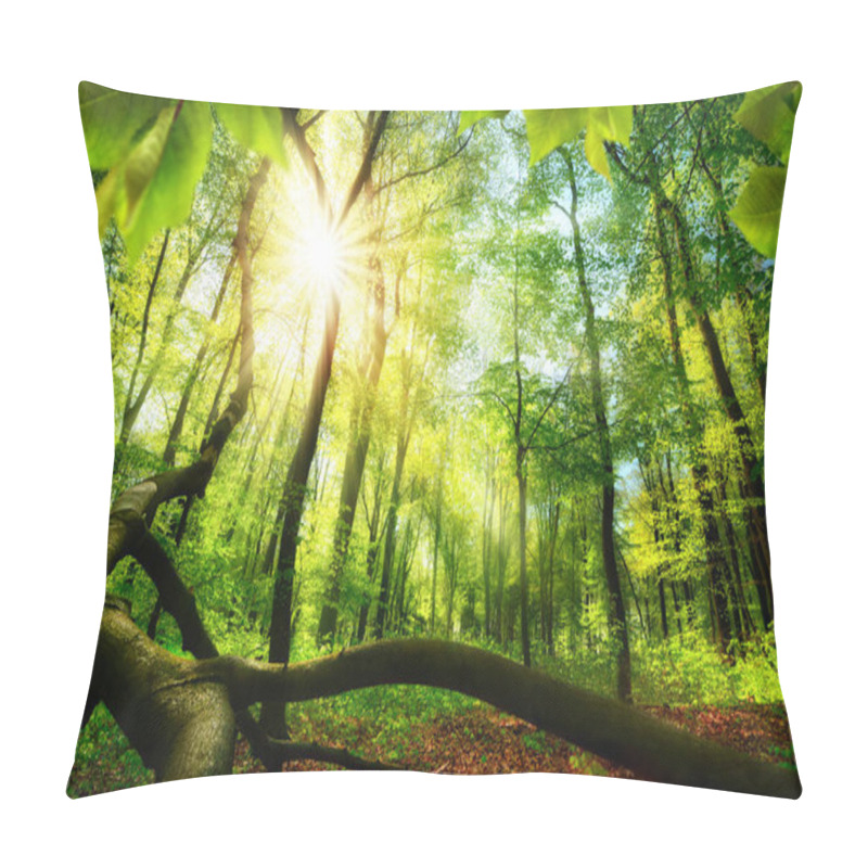 Personality  Green forest with bright beautiful sun beams pillow covers