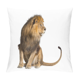 Personality  Lion Pulling A Face And Looking At The Camera, Isolated On White Pillow Covers