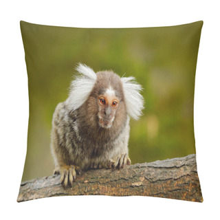 Personality  Small Mokley Hidden In Forest Pillow Covers