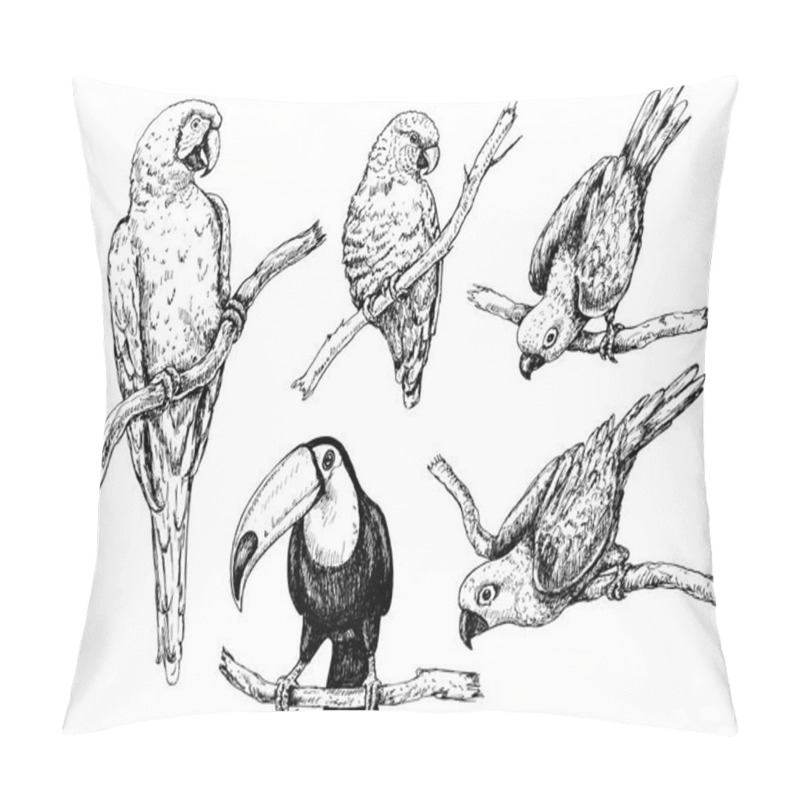 Personality  Parrots And Toucan Sketch Pillow Covers