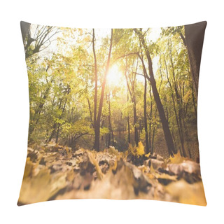 Personality  Fallen Leaves In Autumn Forest Pillow Covers