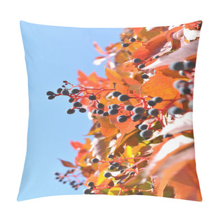 Personality  The Wild Vine In The Autumn Pillow Covers