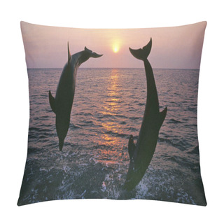 Personality  Bottlenose Dolphin, Tursiops Truncatus, Adults Jumping At Sunset, Coast Near Honduras   Pillow Covers