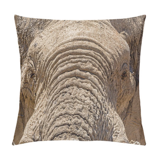 Personality  Close-up Detail Of An African Elephant Face Pillow Covers