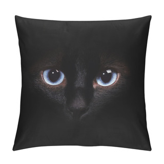 Personality  Eyes Of The Siamese Cat In The Darkness Pillow Covers