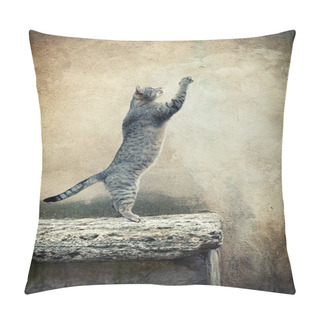 Personality  Standing Cat Pillow Covers
