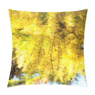 Personality  Illustration Of Autumn Trees In The Park Pillow Covers
