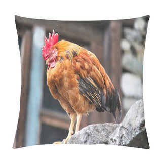 Personality  A Himalayan Rooster At A Tea House Near Lukla, Nepal Pillow Covers