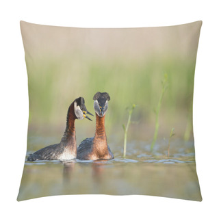 Personality  Pair Of Red Necked Grebes  Pillow Covers