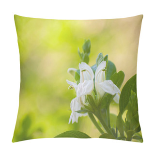 Personality    An Up-close Encounter With The Intricate Allure Of A Malabar Nut Flower (Justicia Adhatoda), Highlighting The Fine Details And Radiant Hues That Characterize This Botanical Marvel Pillow Covers