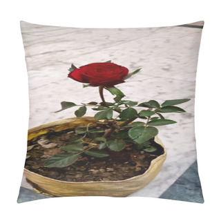 Personality  Beautiful Red Rose Plants Pillow Covers