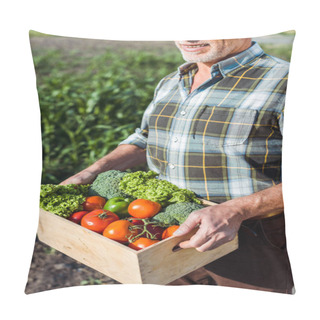 Personality  Cropped View Of Happy Farmer Holding Wooden Box With Vegetables Near Corn Field Pillow Covers