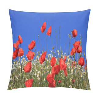 Personality  Bright Red Poppy Flowers And Marguerites Against Blue Sky Pillow Covers