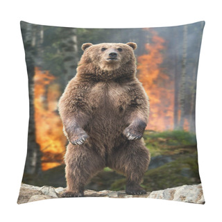 Personality  Brown Bear (Ursus Arctos) Standing Stands In Burning Forest In The Spring Forest Pillow Covers