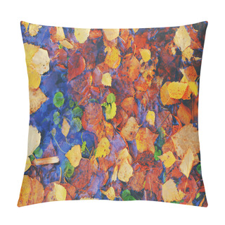 Personality  Colourful Fall Leaves In Pond Lake Water, Floating Autumn Leaf. Fall Season Leaves In Rain Puddle. Sunny Autumn Day Foliage. October Weather, November Nature Background. Beautiful Reflection In Water Pillow Covers