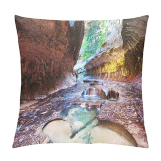 Personality  Narrows In Slot Canyon, Zion National Park, Utah, USA Pillow Covers
