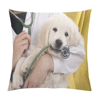 Personality  Puppy Playing Pillow Covers