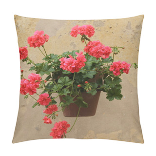 Personality  Bright Red Flowers Pillow Covers