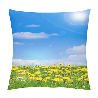 Personality  Spring Meadow With Sun Ray Pillow Covers