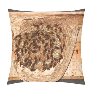 Personality  Hornet Nest (Vespa Crabro) Pillow Covers