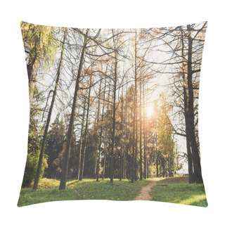 Personality  Trees In Autumn Park Pillow Covers