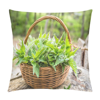 Personality  Freshly Harvested Nettle Plant. Herbs Harvest Season. Fresh Green Nettles In The Basket. Pillow Covers