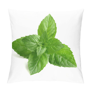 Personality  Fresh Mint In Closeup Pillow Covers