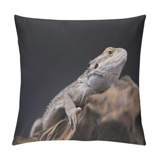 Personality  Agama Bearded Lizard  Pillow Covers