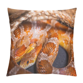Personality  Snake Pillow Covers